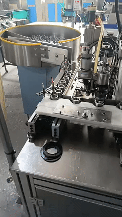 GIF 1